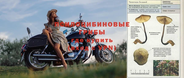каннабис Верея