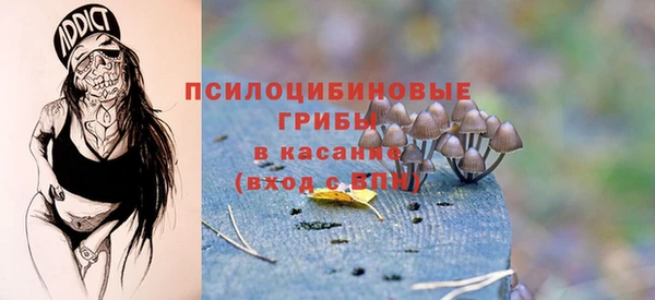 трава Верхнеуральск
