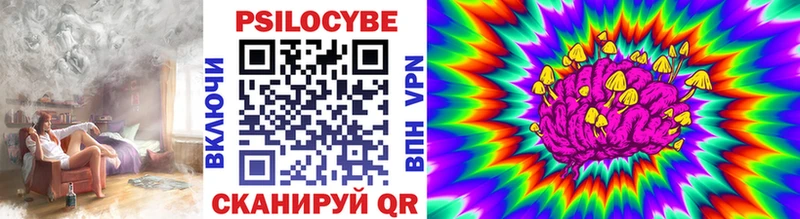 ссылка на мегу как войти  Назарово  мориарти клад  купить закладку  Галлюциногенные грибы Psilocybe 